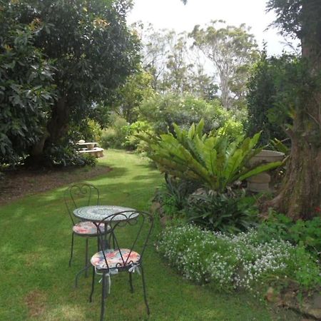 Moonya Avocado Farm Cottage - With Early Check-In Mount Tamborine Esterno foto